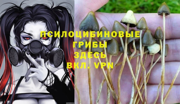 дурь Абдулино