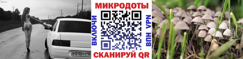 блэк спрут   купить наркоту  Кораблино  Галлюциногенные грибы Psilocybe 
